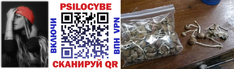 Псилоцибиновые грибы GOLDEN TEACHER blacksprut как зайти Ельня